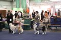 IMG_0568