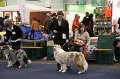 IMG_0578