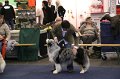 IMG_0581