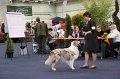 IMG_0583