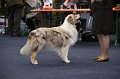 IMG_0584