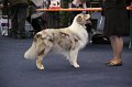 IMG_0585