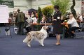 IMG_0586