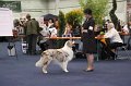 IMG_0587