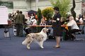 IMG_0588