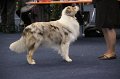 IMG_0589