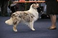IMG_0590