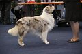 IMG_0591