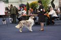 IMG_0592
