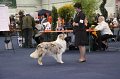 IMG_0593