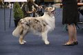 IMG_0595