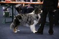 IMG_0602
