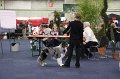 IMG_0604
