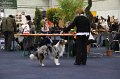 IMG_0616