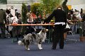IMG_0617