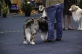 IMG_0621