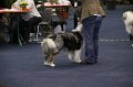 IMG_0622