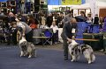 IMG_0639
