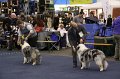 IMG_0641