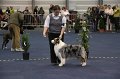 IMG_0647