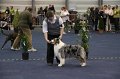 IMG_0648