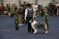 IMG_0663