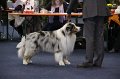 IMG_0666