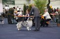 IMG_0667