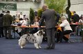 IMG_0668
