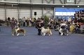 IMG_0675