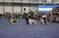 IMG_0676