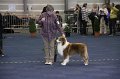 IMG_0677