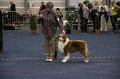 IMG_0680