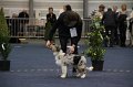 IMG_0691