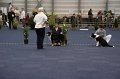 IMG_0707