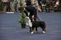 IMG_0710