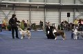 IMG_0740