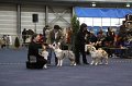 IMG_0741