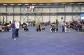 IMG_0748
