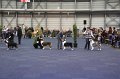 IMG_0751
