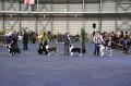 IMG_0752