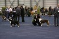 IMG_0753