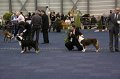 IMG_0754