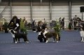 IMG_0758