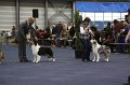 IMG_0761