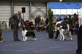 IMG_0762
