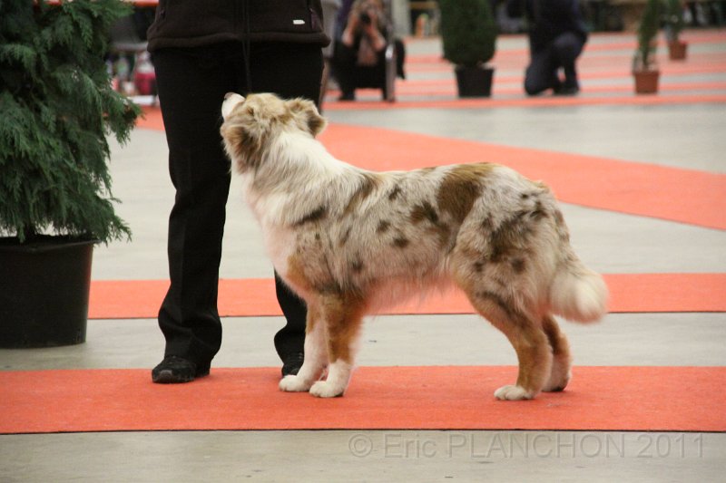 IMG_0367.JPG