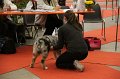 IMG_0004