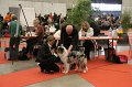 IMG_0050