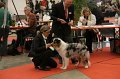 IMG_0053